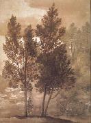 Claude Lorrain Trees (mk17) oil painting reproduction